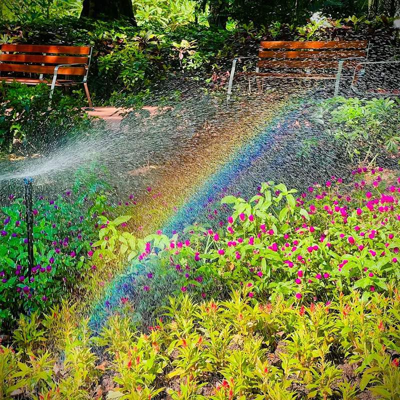 myrtle beach lawn care